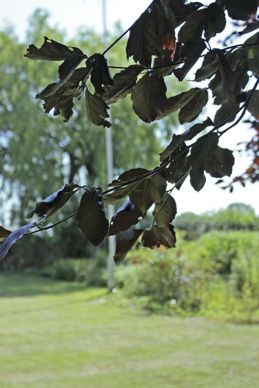 Hojgard Apartments Nykøbing Falster Eksteriør billede